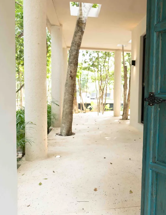 Attha Holística vista 6