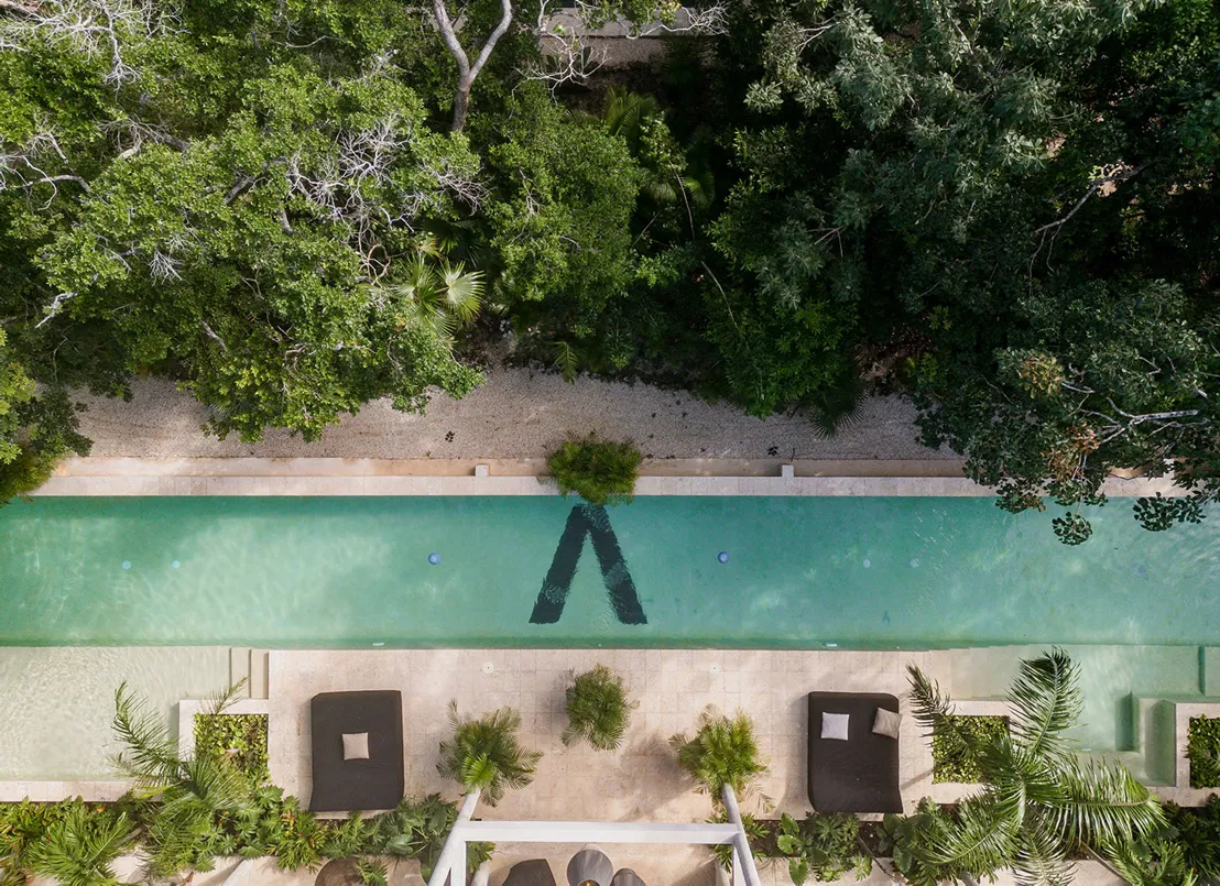 Estudio en Attha Holistica con acceso directo a la alberca rodeada de vegetacion tropical