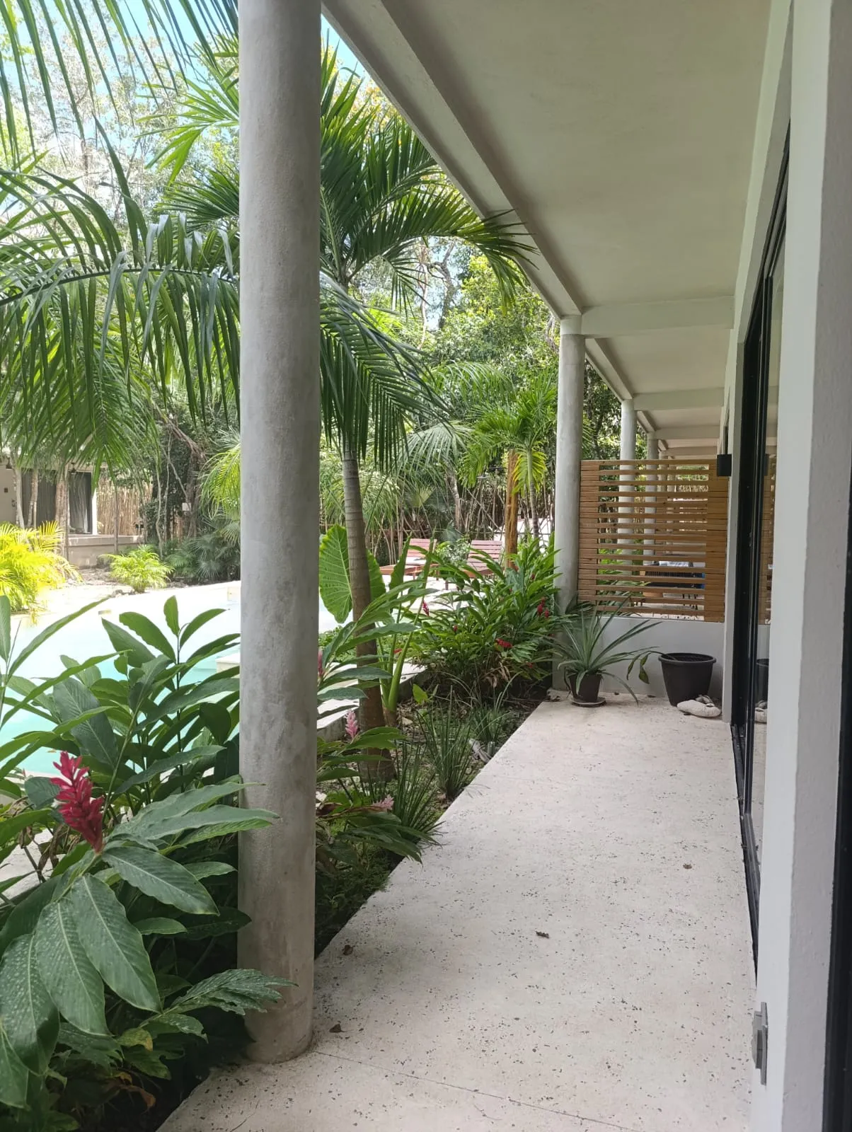 Attha Holística vista 5